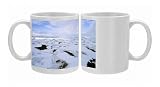ANZ-1305 Snow melts in arctic tundra spring. Aerial view from a helicopter Photo Mugs