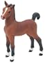 Safari Farm Bay Foal