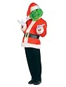 How The Grinch Stole Christmas Grinch Costume Adult Standard