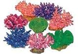 FLEXIBLE CORALS PREPACK LARGE 8PC