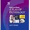 My Pathology Bible(s)