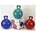 Equine Jolly Ball, 10" Purple