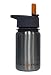 Eco Vessel Kids Stainless Steel Water Bottle with Flip Straw Top (13-Ounce, Silver Express)