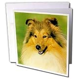 Dogs Sheltie/Shetland Sheepdog - Shetland Sheepdog - Greeting Cards-6 Greeting Cards with envelopes
