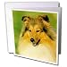   - Dogs Sheltie/Shetland Sheepdog - Shetland Sheepdog - Greeting Cards-12 Greeting Cards with envelopes