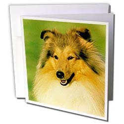 image link - - B000VG3JKQ