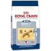 boxer12 - Royal Canin Maxi Breed Boxer 26 Formula