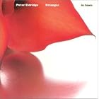 Stranger in Town by Peter Eldridge