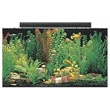 SeaClear Rectangular Aquarium Combo