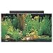 Pet Supplies : SeaClear Rectangular Aquarium Combo (50 gallon)