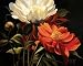 Red Peony Art Poster by Diann Haist - 30