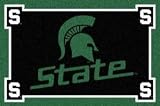 Michigan State Spartans Area Rug