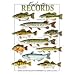 Freshwater Records Womens T-Shirt Dress