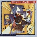 Dave Samuels - Living Colors