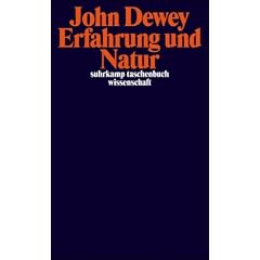 Erfahrung und Natur (suhrkamp taschenbuch wissenschaft)