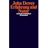 Erfahrung und Natur (suhrkamp taschenbuch wissenschaft)
