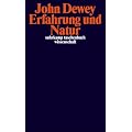 Erfahrung und Natur (suhrkamp taschenbuch wissenschaft)