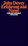 Erfahrung und Natur (suhrkamp taschenbuch wissenschaft)