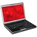 Toshiba Satellite M305-S4826 14.1-inch Laptop (2.1 GHz Intel Core 2 Duo T8100 Processor, 3 GB RAM, 250 GB Hard Drive, DVD Drive, Vista Premium)