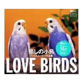 Love Birds 癒しの小鳥