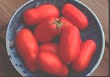 Roma Tomato Seeds Pompeii 40 Seeds