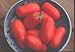 Roma Tomato Seeds Pompeii 40 Seeds