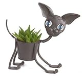 Metal Tabletop Planter - Paco the Chihuahua Dog Tabletop Planter - Approximately 10 High - Great Mother's Day Gift!