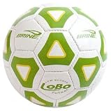 Brine Lobo II Futsal ball