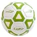 Sporting Goods : Brine Lobo II Futsal ball