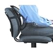Posture Pro Back Support for Chairs Posture Pro Back Support for Chairs