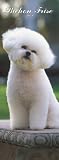 Bichon Frise 2008 Slimline Calendar