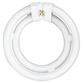Sea Gull Lighting 97042 2C40 - Double Circline Fluorescent Bulb, 40-Watt by Sea Gull Lighting