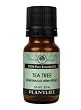 Tea Tree 100% Pure Essential Oil - 10 ml