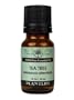 Tea Tree 100% Pure Essential Oil - 10 ml