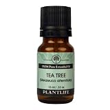 Tea Tree 100% Pure Essential Oil - 10 ml