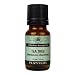 Tea Tree 100% Pure Essential Oil - 10 ml