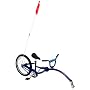 InStep Pathfinder Bike Trailer