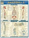 ISBN: 1572228563 - Anatomy Laminate Reference Chart: Includes Deep and Posterior Anatomy and Any New Structures (Quickstudy: Academic)