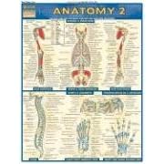 Book cover for share_ebook Anatomy Laminate Reference Chart Includes Deep and Posterior Anatomy and Any New Structures Quickstudy Academic