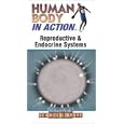 Human Body In Action : REPRODUCTIVE and ENDOCRINE SYSTEMS