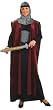 Renaissance Lady Knight Costume