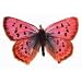 Pastel Pink Butterfly Die-Cut Photographic Magnet