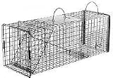 Live Animal Trap: Cat or Rabbit Transfer Trap with Rear Sliding Door