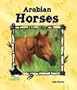 Arabian Horses (Animal Kingdom)