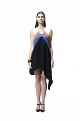 Silk Colorblocking  Dress