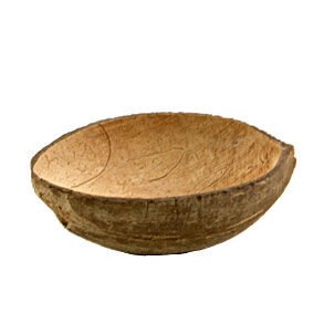Natural Coconut Shell Cup
