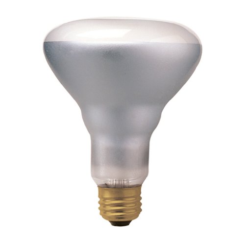 Bulbrite H65BR30FL 65W Halogen Flood Light
