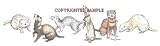 Ferrets - Drawing by Cindy Farmer