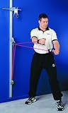 Lifeline Wall Gym 2000