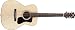 Guild F-130 Acoustic Guitar with Hardshell Case
